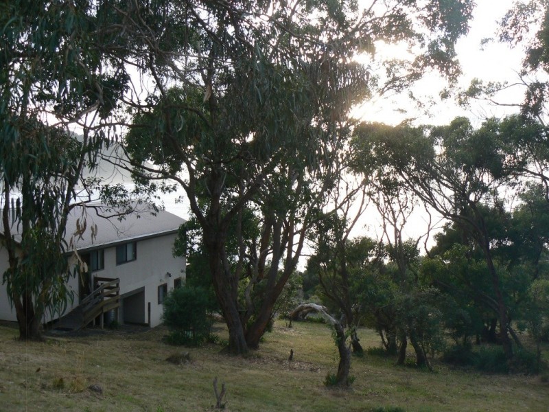 17 Great Ocean Road, Grey River VIC 3221