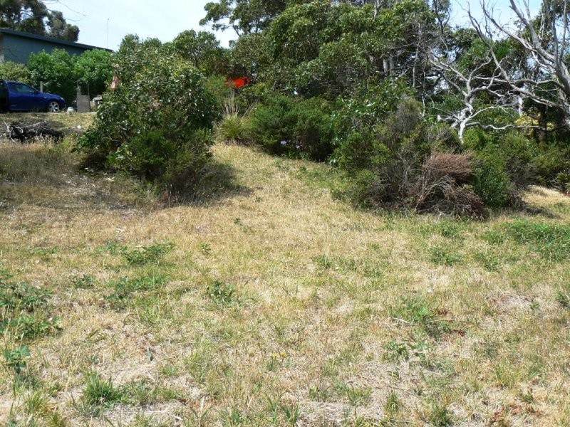 Lot 4,  Muller Road, Skenes Creek VIC 3233