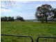 2575 Colac Forrest Road, Forrest VIC 3236