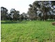 2575 Colac Forrest Road, Forrest VIC 3236