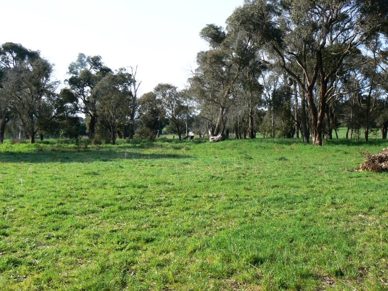 2575 Colac Forrest Road, Forrest VIC 3236
