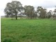 2575 Colac Forrest Road, Forrest VIC 3236
