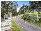 785 Great Ocean Road, Marengo VIC 3233