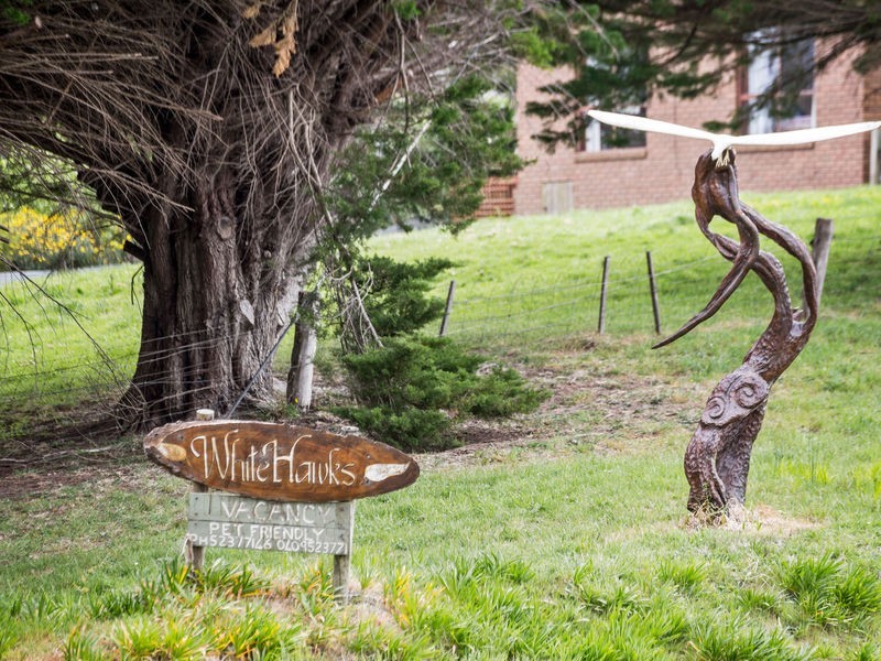 785 Great Ocean Road, Marengo VIC 3233