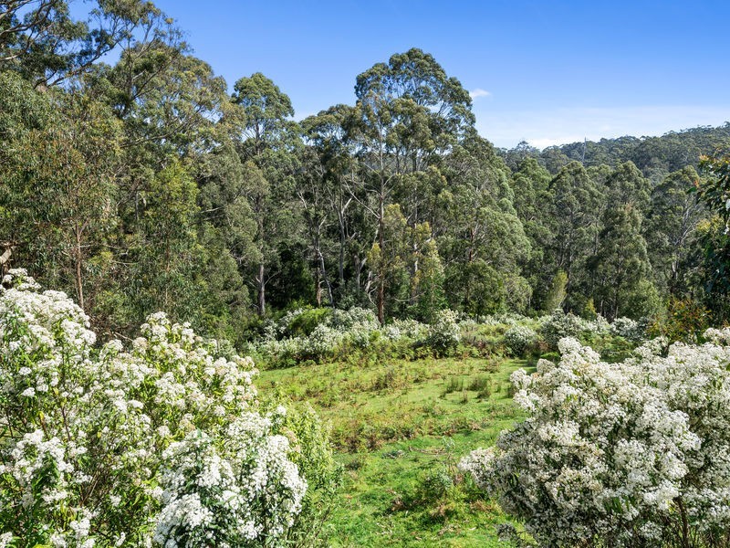 785 Great Ocean Road, Marengo VIC 3233