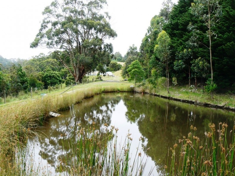 785 Great Ocean Road, Marengo VIC 3233