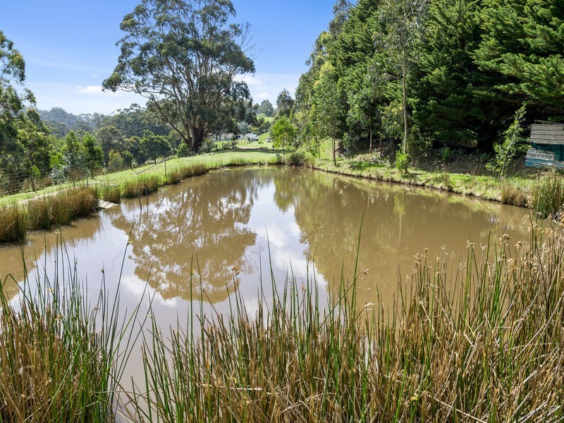 785 Great Ocean Road, Marengo VIC 3233