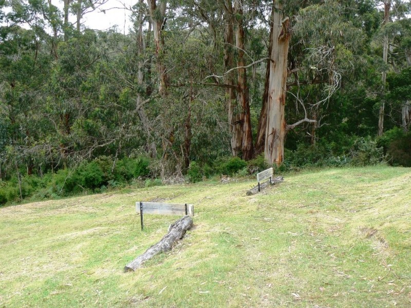 785 Great Ocean Road, Marengo VIC 3233