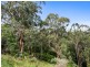 785 Great Ocean Road, Marengo VIC 3233