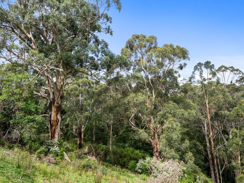 785 Great Ocean Road, Marengo VIC 3233