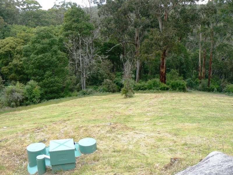 785 Great Ocean Road, Marengo VIC 3233