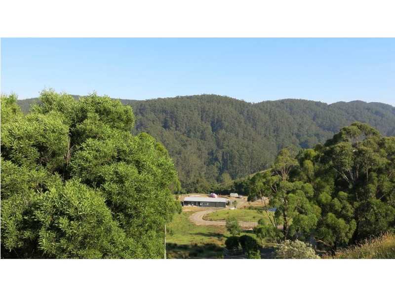 571 WILD DOG ROAD, Apollo Bay VIC 3233