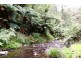 571 WILD DOG ROAD, Apollo Bay VIC 3233