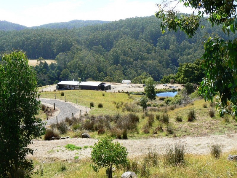 571 WILD DOG ROAD, Apollo Bay VIC 3233