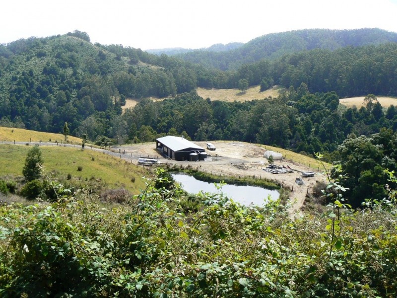 571 WILD DOG ROAD, Apollo Bay VIC 3233