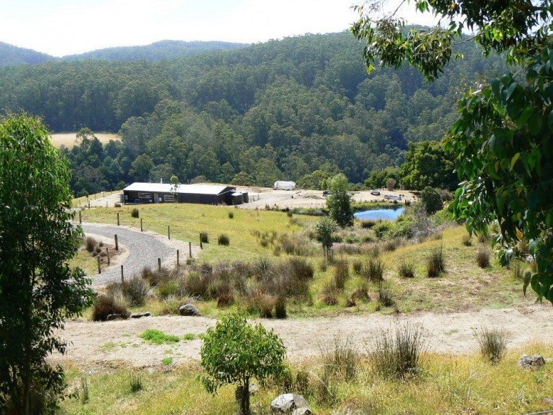 571 WILD DOG ROAD, Apollo Bay VIC 3233