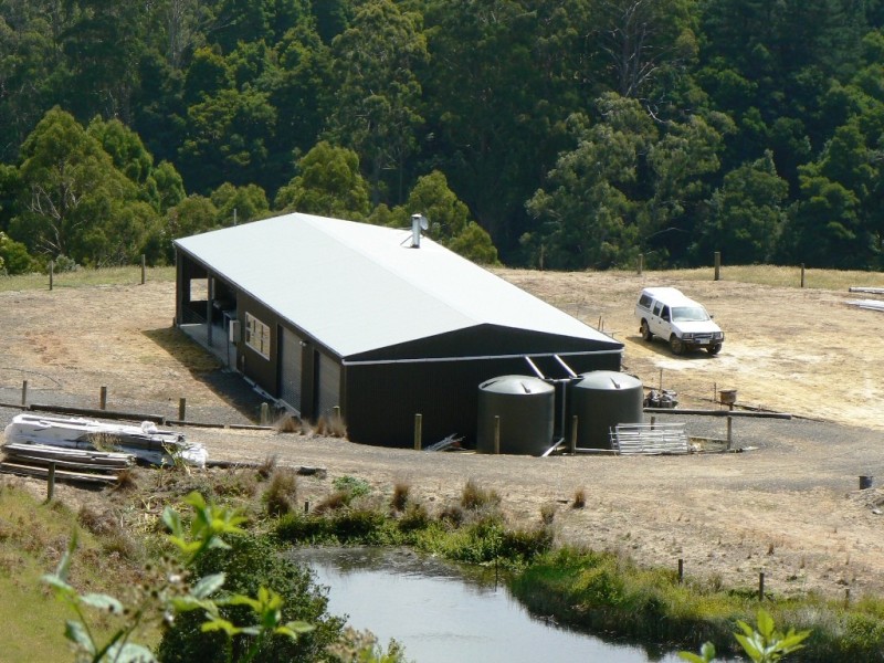 571 WILD DOG ROAD, Apollo Bay VIC 3233