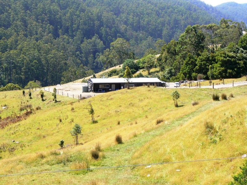 571 WILD DOG ROAD, Apollo Bay VIC 3233