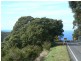 470 Skenes Creek Road, Skenes Creek North VIC 3233