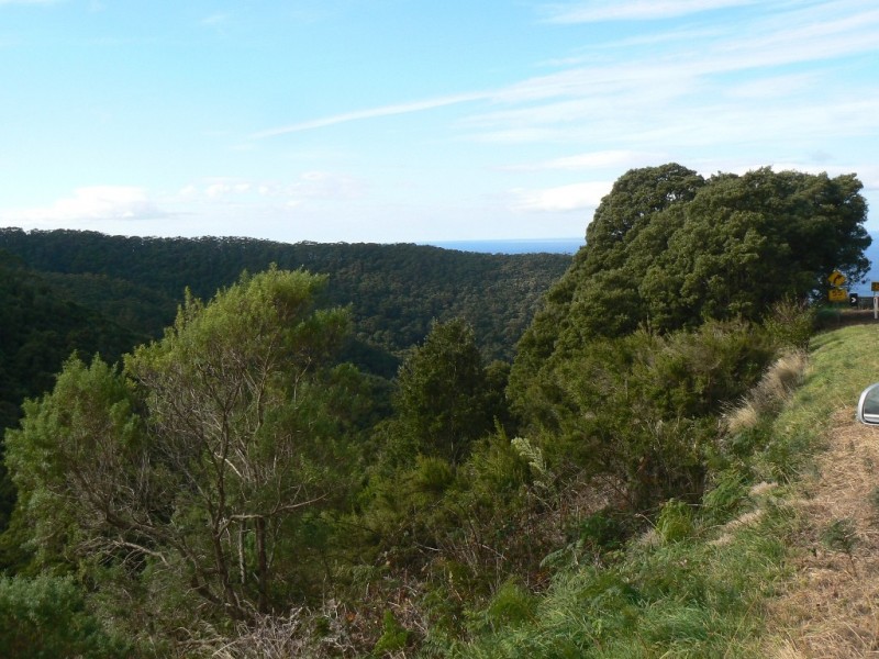 470 Skenes Creek Road, Skenes Creek North VIC 3233