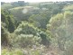 470 Skenes Creek Road, Skenes Creek North VIC 3233