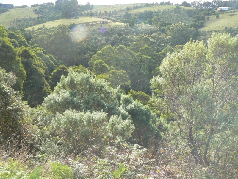 470 Skenes Creek Road, Skenes Creek North VIC 3233