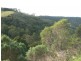 470 Skenes Creek Road, Skenes Creek North VIC 3233