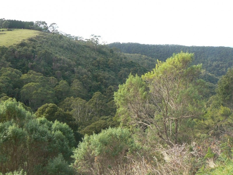 470 Skenes Creek Road, Skenes Creek North VIC 3233