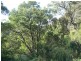 470 Skenes Creek Road, Skenes Creek North VIC 3233
