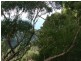 470 Skenes Creek Road, Skenes Creek North VIC 3233