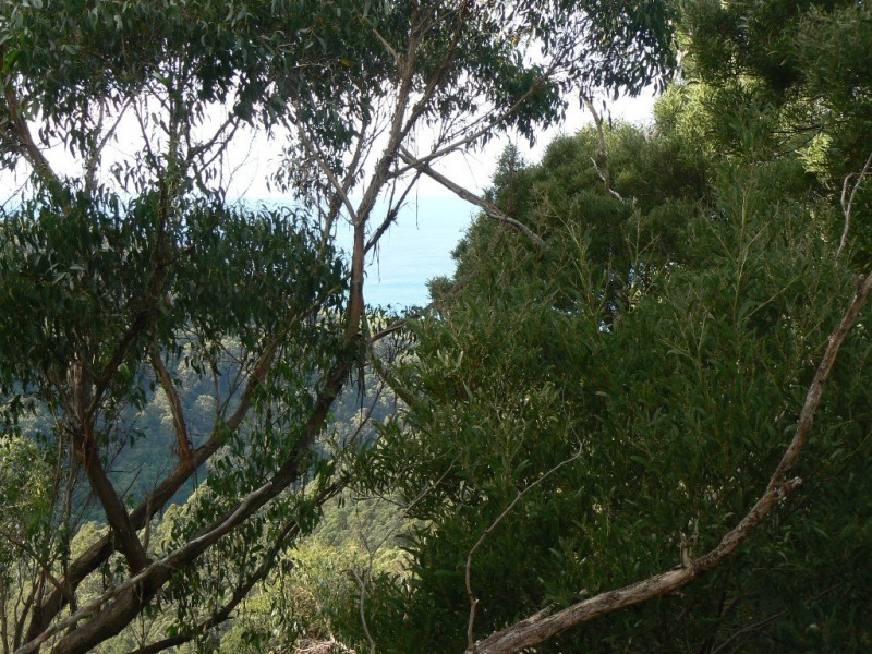 470 Skenes Creek Road, Skenes Creek North VIC 3233
