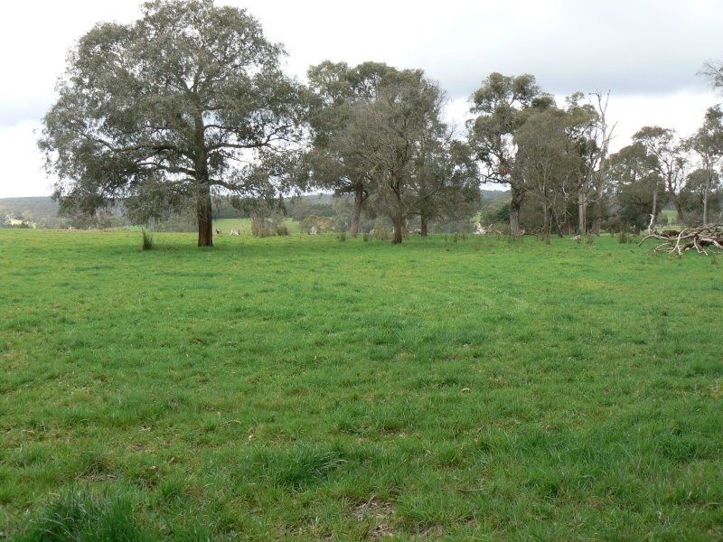 2575 Colac Forrest Road, Forrest VIC 3236