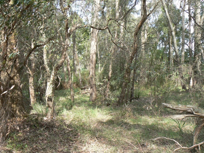 2575 Colac Forrest Road, Forrest VIC 3236