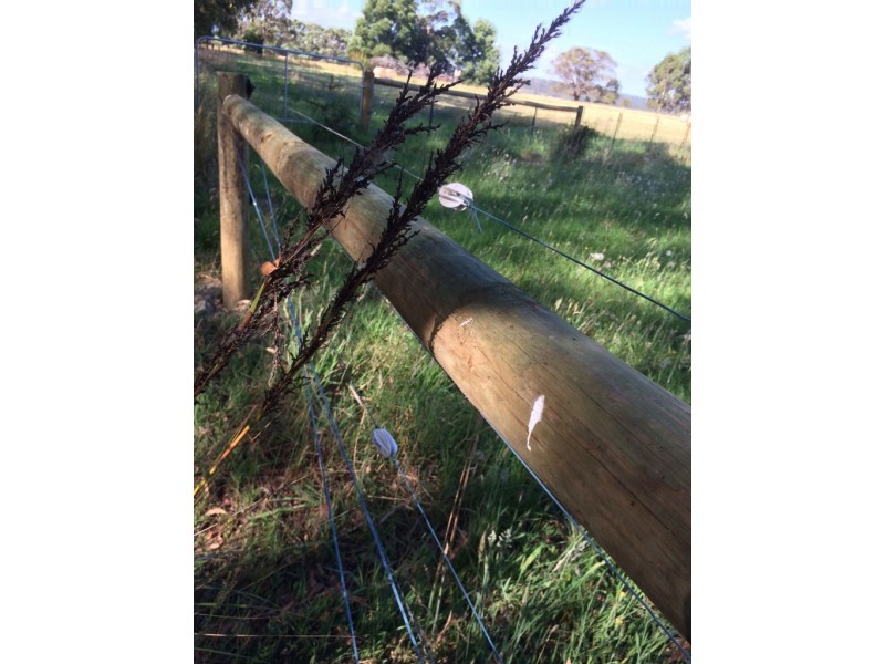 2575 Colac Forrest Road, Forrest VIC 3236