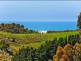 640 Great Ocean Road, Marengo VIC 3233