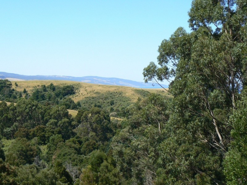 640 Great Ocean Road, Marengo VIC 3233
