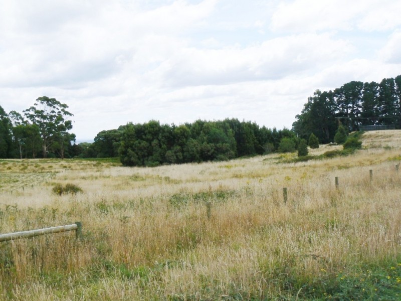 Lot 1, 1530 Old Beech Forest Road, Beech Forest VIC 3237