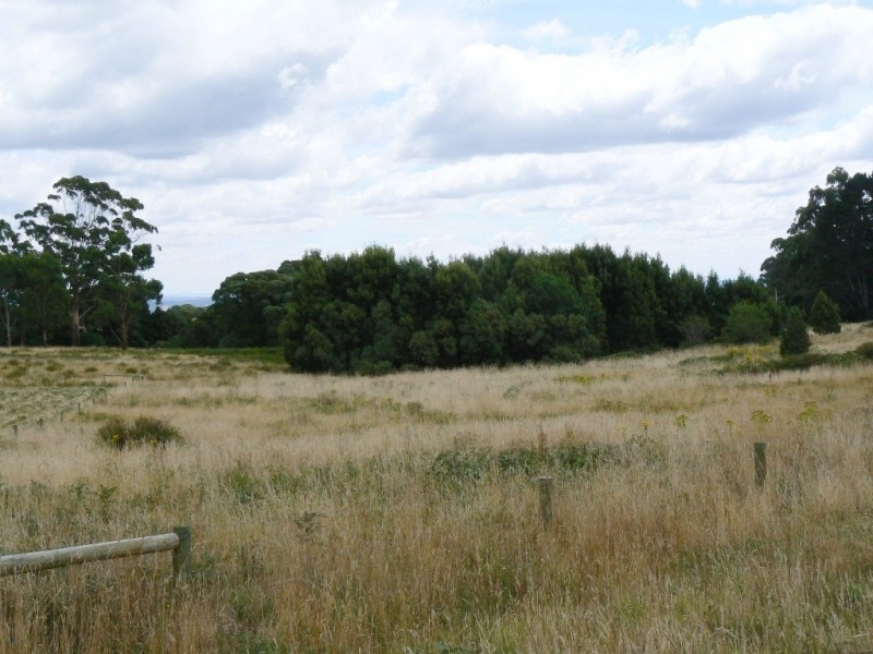 Lot 1, 1530 Old Beech Forest Road, Beech Forest VIC 3237