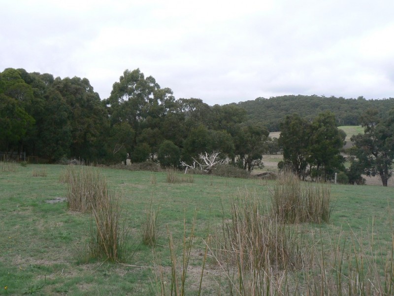 15 Berrys Lane, Gellibrand VIC 3239