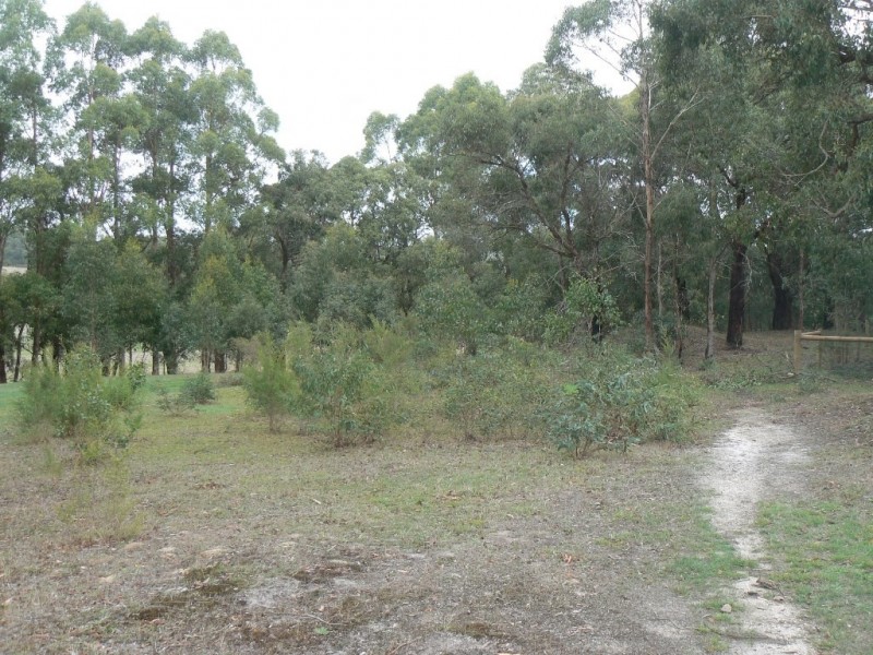 15 Berrys Lane, Gellibrand VIC 3239