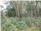 15 Berrys Lane, Gellibrand VIC 3239