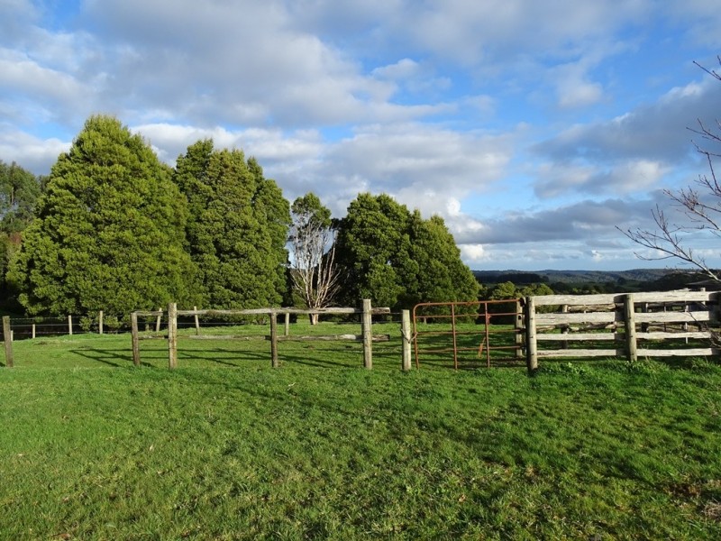 44 Main Road, Beech Forest VIC 3237