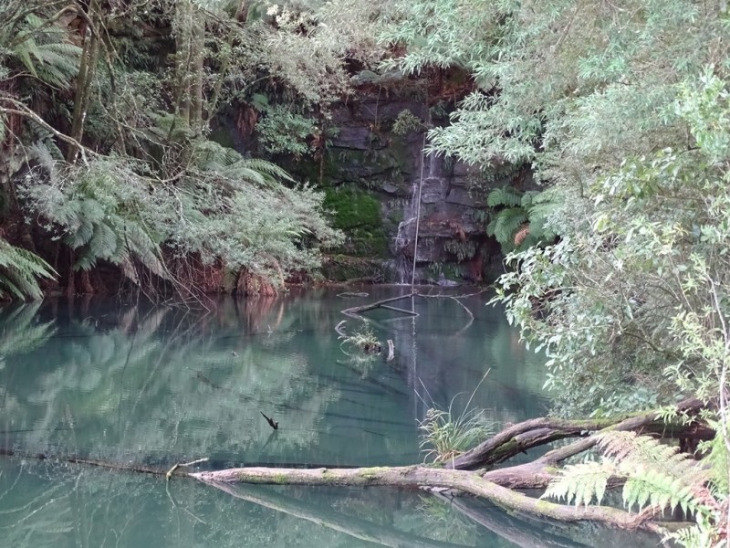 44 Main Road, Beech Forest VIC 3237