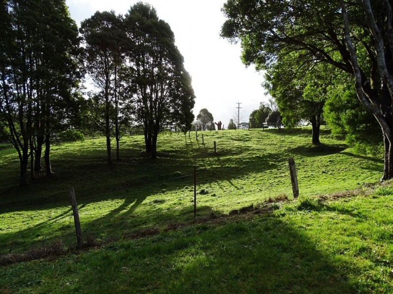 44 Main Road, Beech Forest VIC 3237