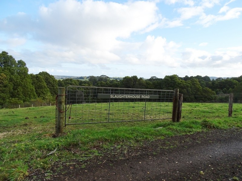 44 Main Road, Beech Forest VIC 3237