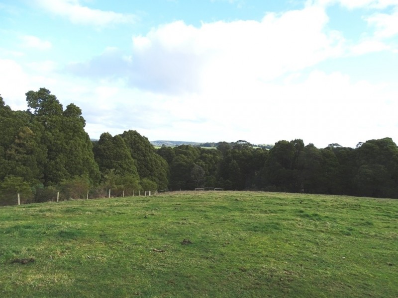 44 Main Road, Beech Forest VIC 3237