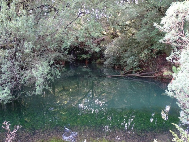 44 Main Road, Beech Forest VIC 3237