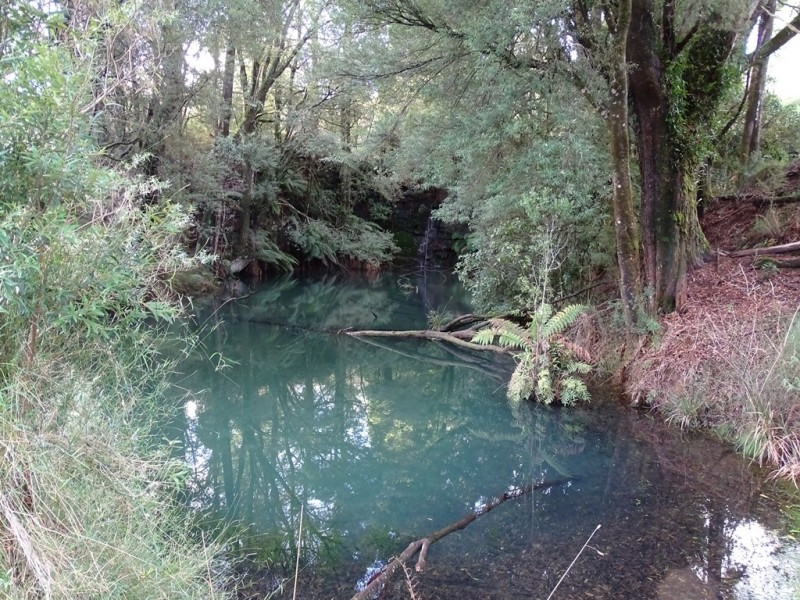 44 Main Road, Beech Forest VIC 3237