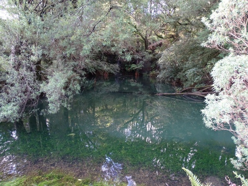 44 Main Road, Beech Forest VIC 3237