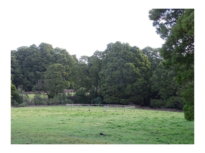 44 Main Road, Beech Forest VIC 3237